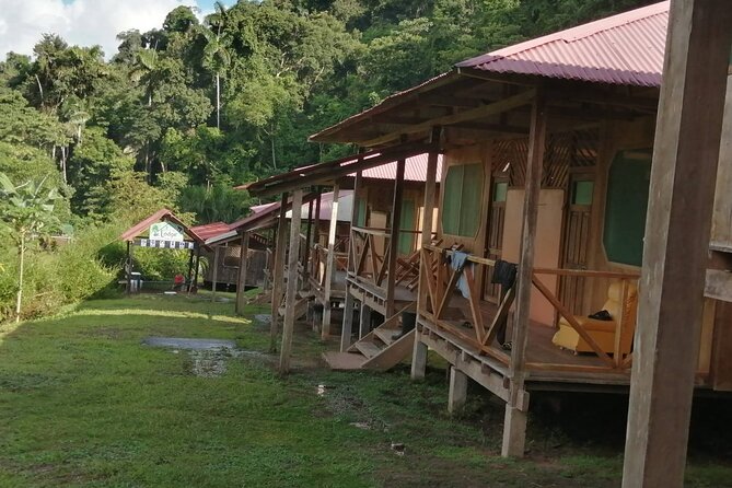 4-Day Manu Jungle Tour With Adventure and Adrenaline - Inclusions and Exclusions
