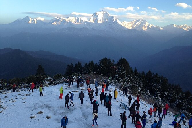 4 Day Poon Hill Trek and Pokhara Private Tour - Important Details