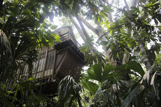 4-Day Private Amazon Jungle Tour With Pick up - Health and Safety Guidelines