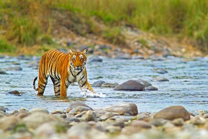 4- Day Ranthambore With Golden Triangle - Inclusions and Exclusions