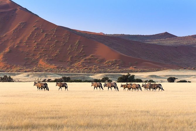 4 Day Sossusvlei and Swakopmund Lodging - Confirmation and Accessibility