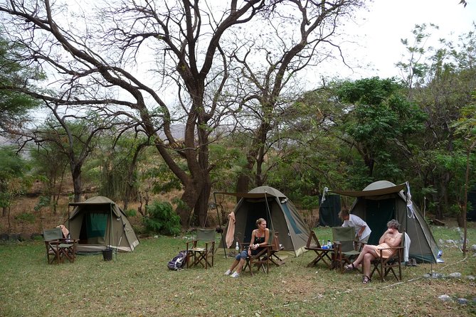 4-Day Tanzania Best Camping Safari: Lake Manyara, Serengeti & Ngorongoro Crater - Contact Information