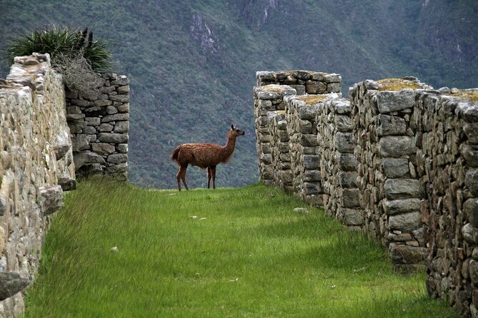 4-Day Tour: Cusco City Tour, Sacred Valley, Machu Picchu - Meeting and Pickup Details