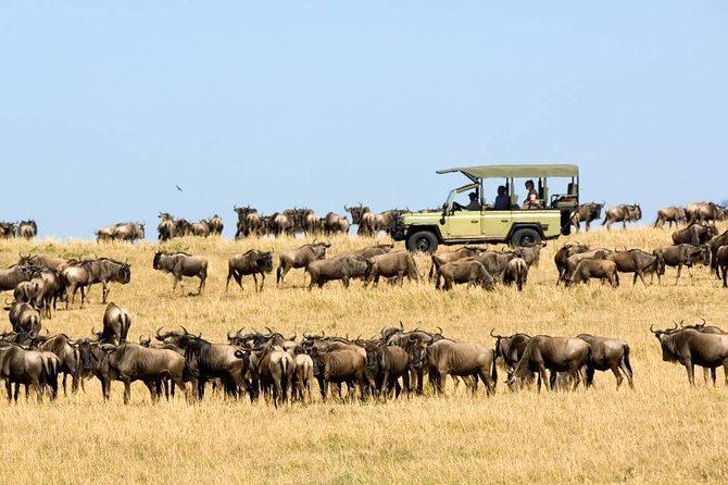 4 Day Wildebeest Migration Budget Camping Safaris - Pricing and Cancellation Policy