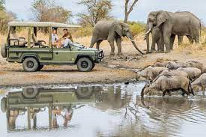 4 Days 3 Night Luxury Safari to Tarangire,Ngorongoro,Lake Manyara - Transportation and Logistics