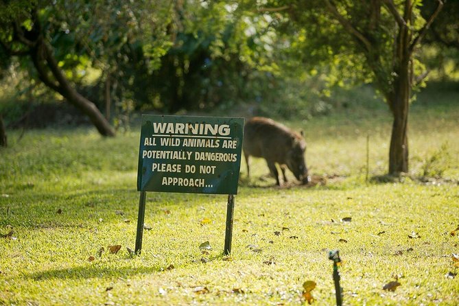 4 Days / 3 Nights Ilala Lodge Package - Additional Considerations