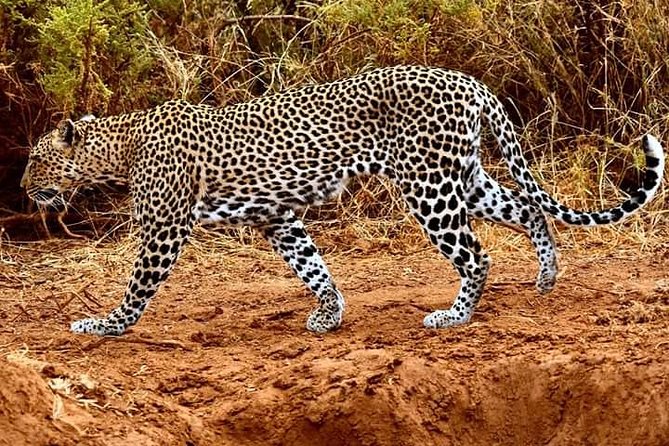 4 Days Amboseli Explorer - Booking and Contact Details