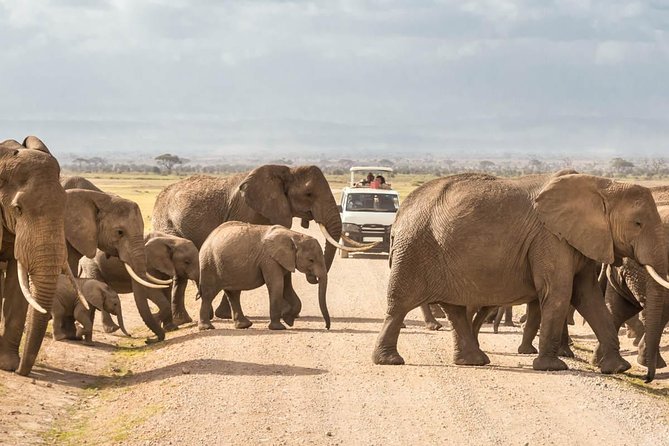 4 Days Amboseli, Tsavo West Tsavo East Luxury Safari (MINIMUM 2 PAX) - Logistics and Pickup Information
