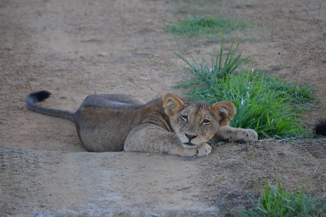 4 Days Camping Experience to Serengeti & Ngorongoro Crater From Mwanza - Pickup Locations