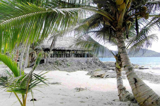 4 Days Colombian Caribbean Playground: Capurganá, Panama, Turtles - Tips for Travelers