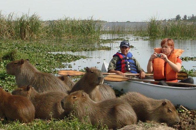 4-Days Discovering Ibera Wetland Premium Package - Accessibility Features