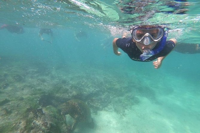 4 Days Galapagos Total Experiences - Transportation Options