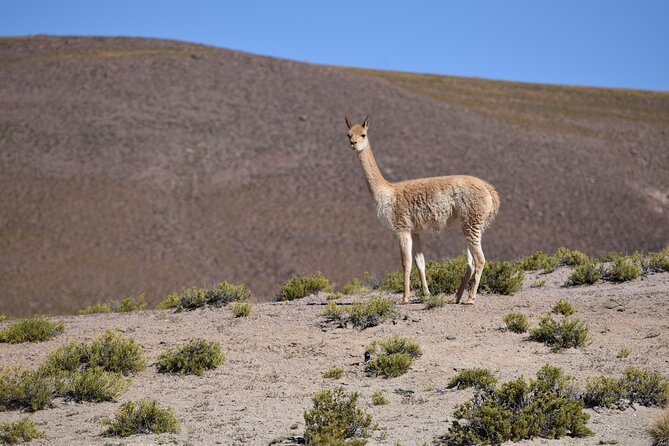 4 Days in San Pedro De Atacama With Hotel, Tours and Transfers - Entrance Fees Breakdown