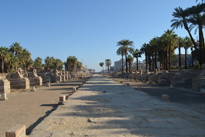 4-Days Nile Cruise Including Tours & Hot Air Balloon From Aswan