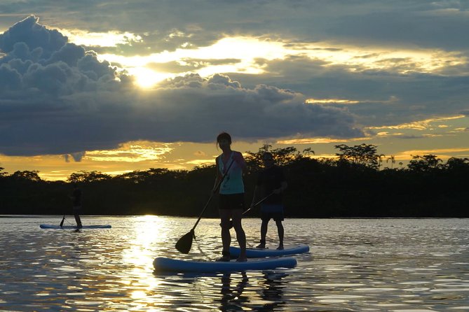 4 Days Paddle Boarding in the Cuyabeno Reserve - Additional Activities Available