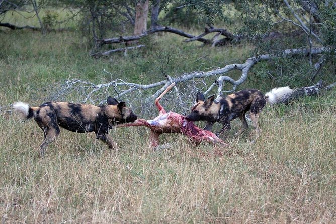 4 Days Private for 4 Pax Ngorongoro & Serengeti - Pickup and Meeting Points