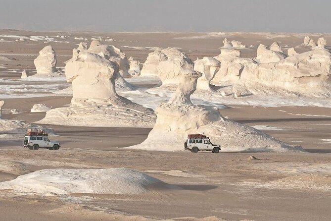 4 Days Private White Desert and Bahariya Oasis Tour - Additional Information