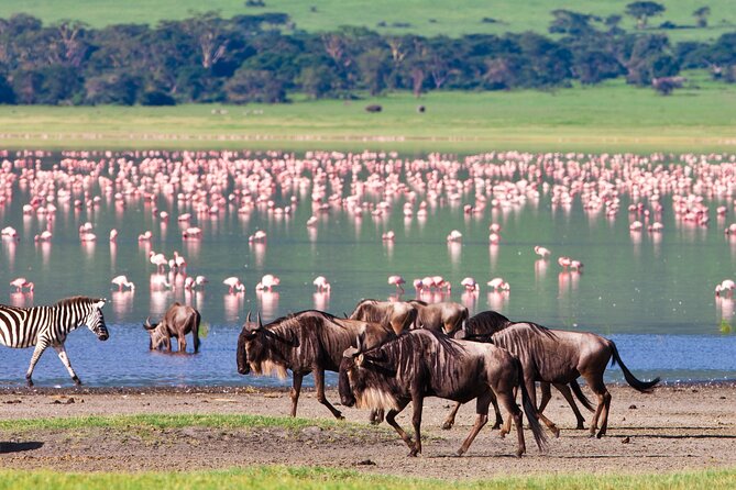 4 Days Safari With Waterfalls and Hot Spring