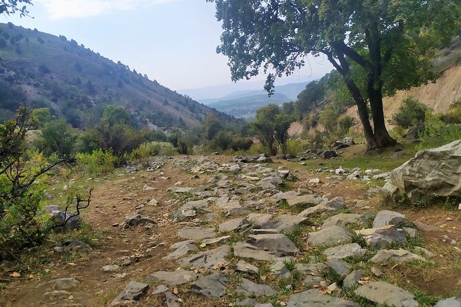 4 Days Tour to Arslanbob and Sary-Chelek - Booking Instructions
