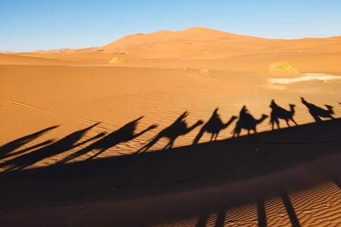 4 Days Trip From FEZ to MARRAKESH, Spending a Night in MERZOUGA and TODRA GORGES - Cancellation Policy
