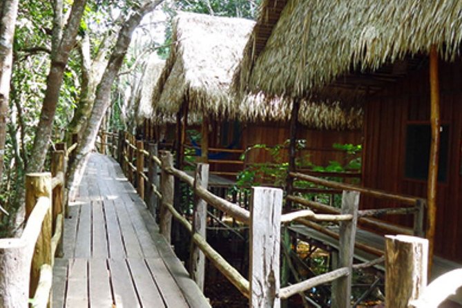 4-Days Unique Experience at Amazon Lodge, Immersion on a Jungle Adventure