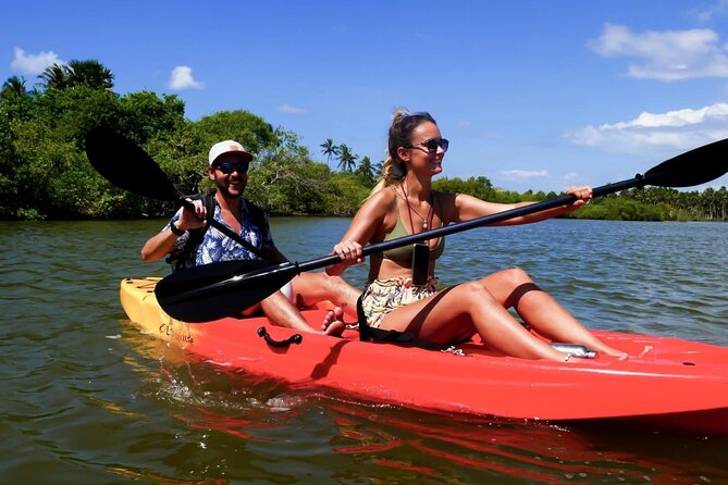 4-Hour Private Kayaking Experience in Galle - Meeting and End Points
