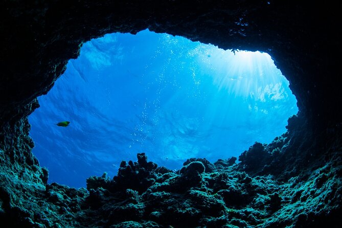 4 Hours Caves, Snorkeling and Swimming Tour in Dubrovnik - Frequently Asked Questions
