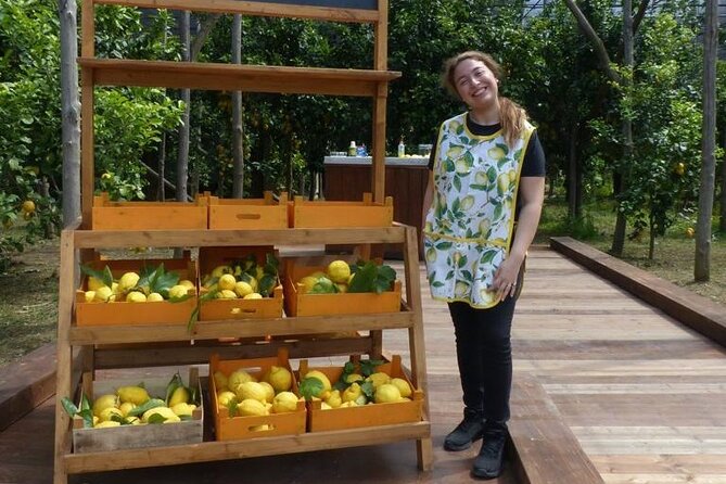 4 Hours Guided Tour of the Limoneto With Pizza Cooking Class
