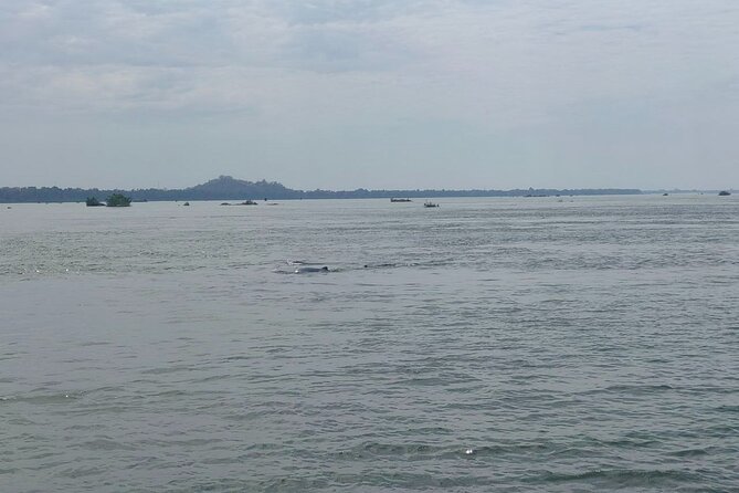 4 Hours Taking Tuk Tuk to See Mekong Dolphins and Countryside - Operator Information