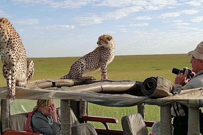 4Days Masai Mara, Lake Nakuru Group Joining Budget Camping Safari - Important Reminders