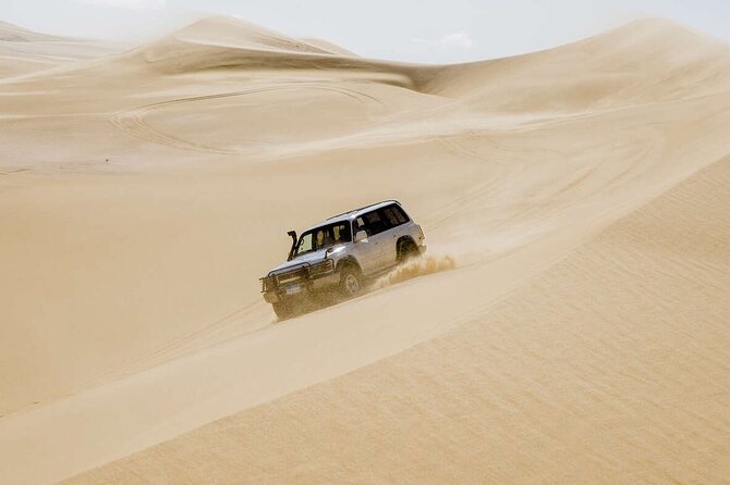 4x4 Desert Safari, Sandsurf, and Camel Ride Private Tour From Cairo - The Sum Up