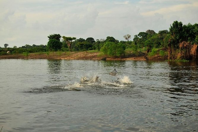 5-Day Amazon Manaus Jungle Adventure - Optional Activities