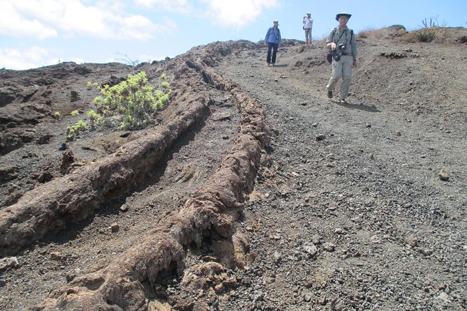 5-Day Galapagos Island Hopping Tour - Santa Cruz & Surroundings - Frequently Asked Questions
