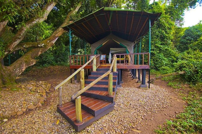 5 Day Gombe and Mahale National Park Chimpanzee Trekking - Cancellation Policy Details