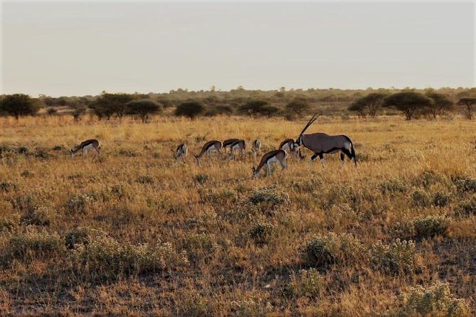 5-Day Mababe Safari - Booking Information