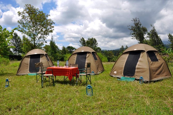 5-Day Manyara, Serengeti and Ngorongoro Camping Safari From Arusha - Safety and Travel Tips
