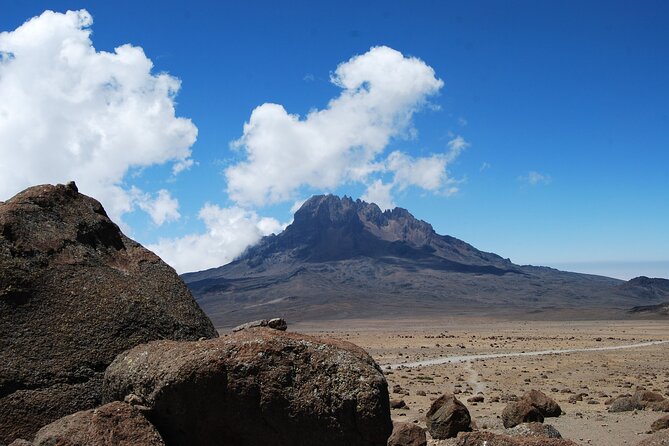 5-Day Small-Group Kilimanjaro Trekking via Marangu Route - Trekking Gear Provided