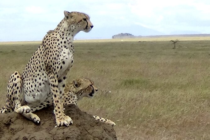 5-Day Tanzania Group Joining - Group Size and Transport
