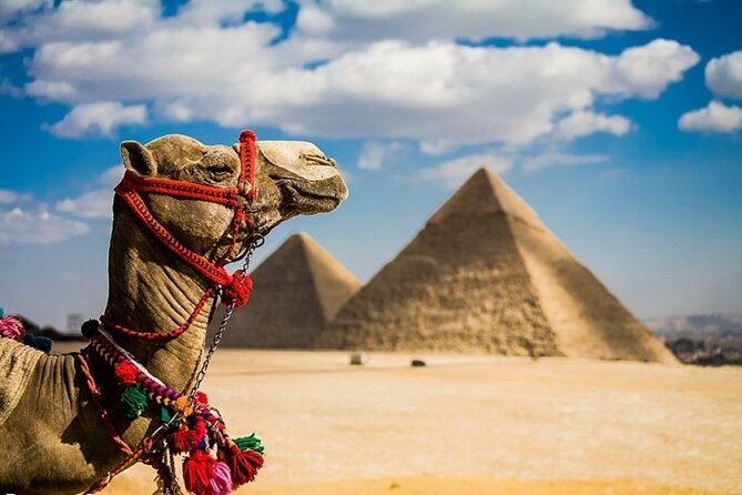 5 Days 4 Nights Tour of the Best of Cairo and Alexandria - Inclusions and Exclusions