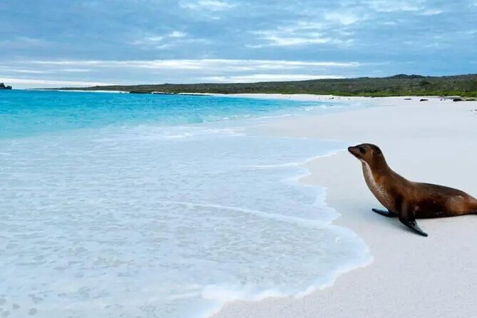 5 Days Galapagos Wildlife Discovery - Day 4: Floreana Island Experience