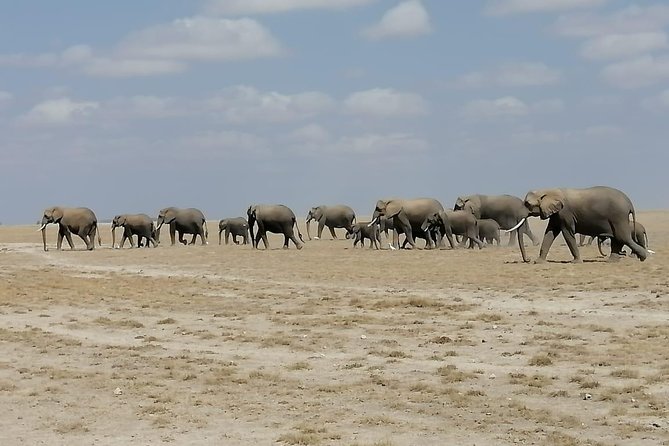 5 Days Kenya Budget Camping Safari Package - Frequently Asked Questions