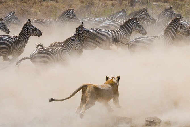 5 Days Lake Naivasha Lake Nakuru And Masai Mara Safari Tour - Optional Tours Information