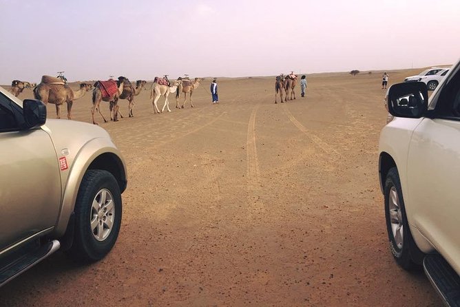 5 Days Merzouga Sahara Tour From Marrakech With Pickup - Additional Information