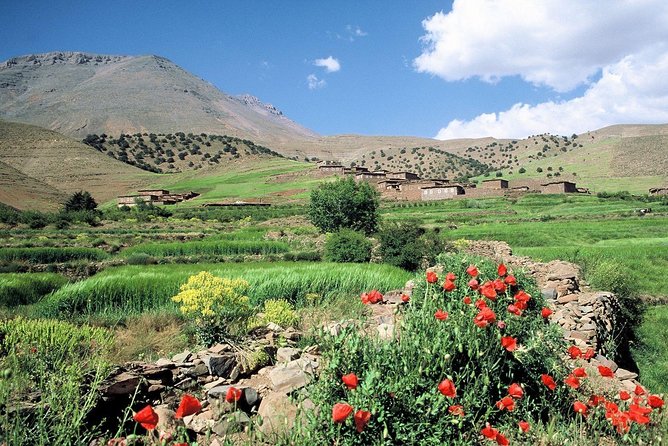 5-Days Private Atlas Mountains Trek From Marrakech - Transportation Details