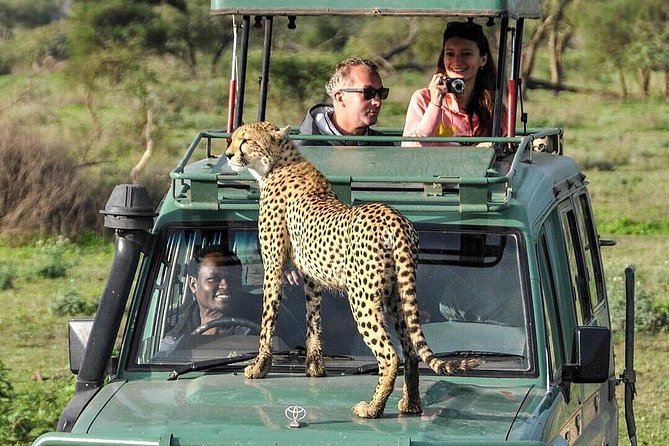 5 Days Safari – SELOUS & ZANZIBAR - Transportation Information