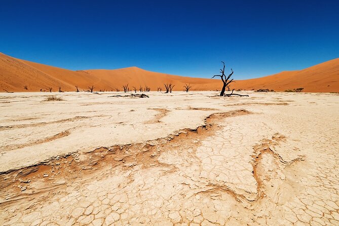 5 Days Sossusvlei, Swakopmund and Etosha NP Camping - Trip Overview