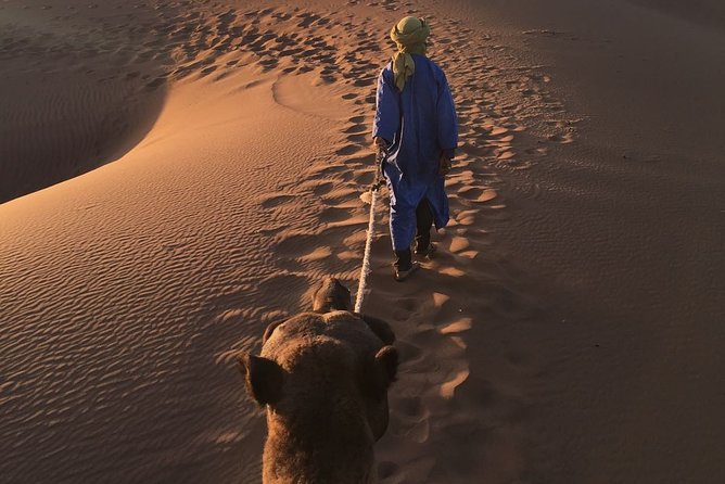 5 Days Tour From Casablanca to Marrakech via Fez & Sahara Desert Merzouga - Additional Tips and Recommendations