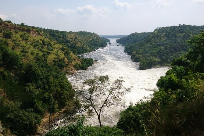 5 Days Uganda Wildlife Tour & Chimpanzee Habituation Experience - Cancellation Policy