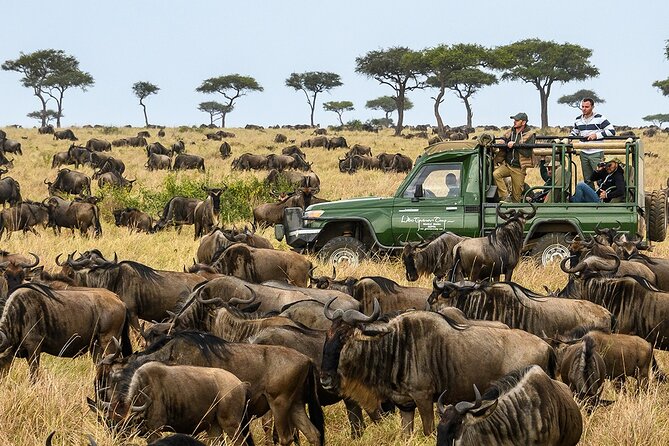 5 Days Wildlife Safari - Frequently Asked Questions