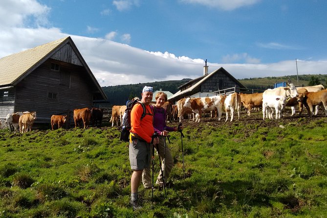 5-Hour Private Alpine Hiking Tour Wild Water at Hochwechsel - Meeting Point Information